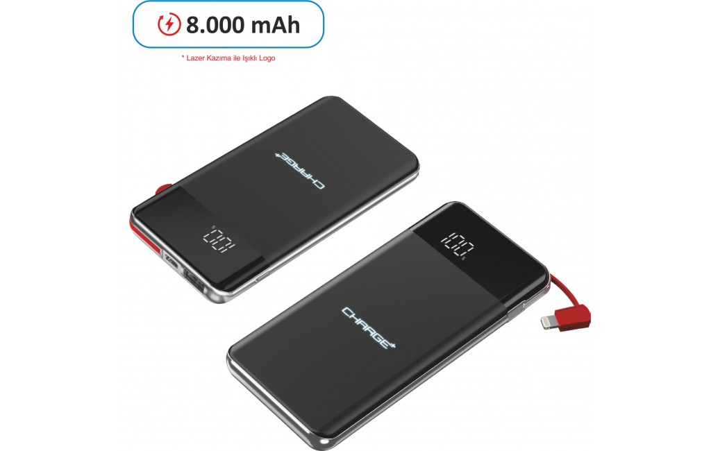 Powerbank (8.000 mAh)